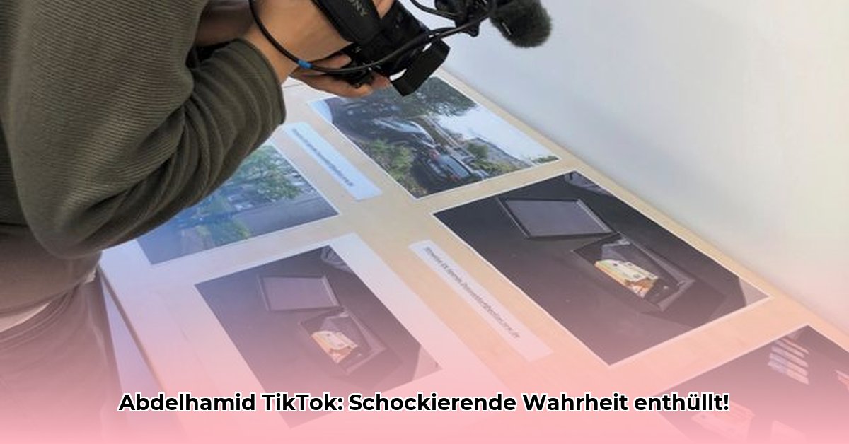 abdelhamid-tiktok